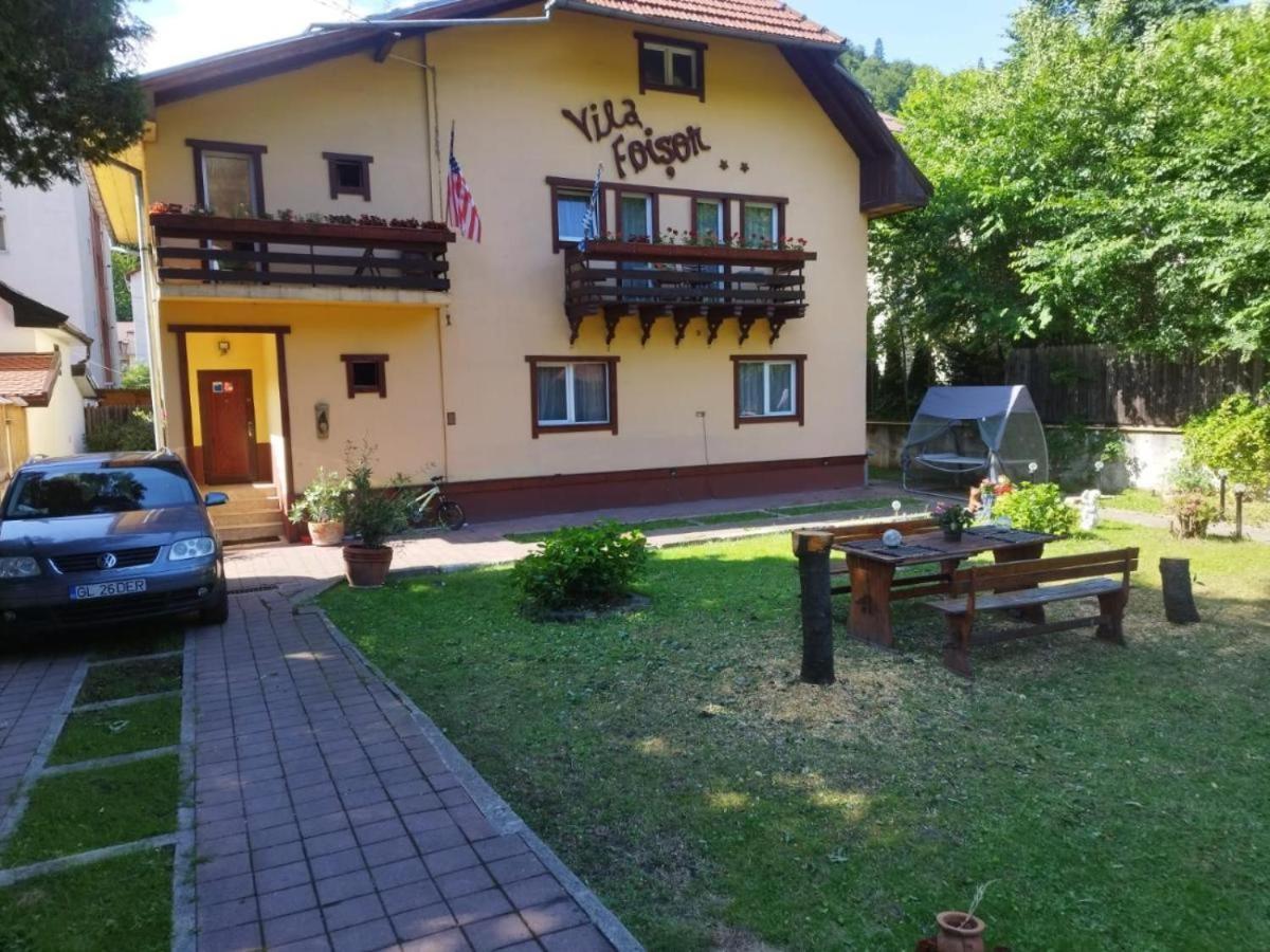 Villa Foisor Busteni Exterior photo